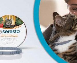 Coleira SERESTO Gato – 38 cm