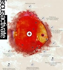 Discus ACTIVATE 250 ml