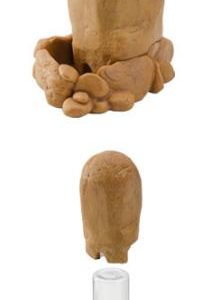 EXO TERRA WATER WELL 250 ml